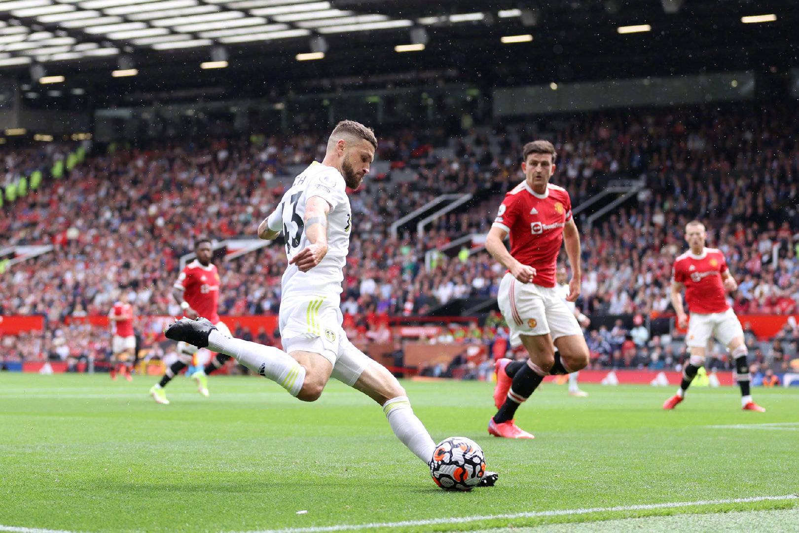 赛的理解能 赛的理解能