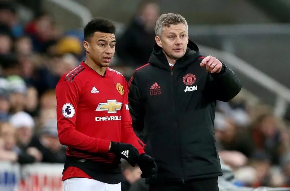 家隊所有的 家隊所有的